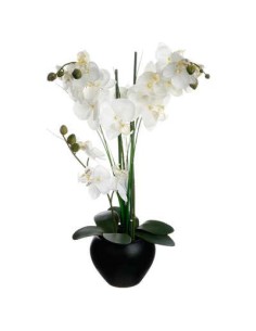 136510a - orchid pot crmq alini nr h53