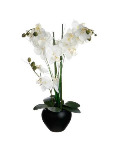 136510a - orchid pot crmq alini nr h53