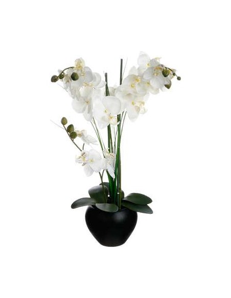 136510a - orchid pot crmq alini nr h53