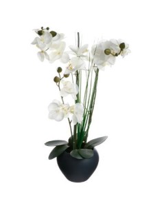 136510c - orchidee vase crmq gris h.53