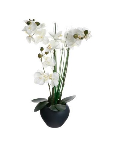 136510c - orchidee vase crmq gris h.53