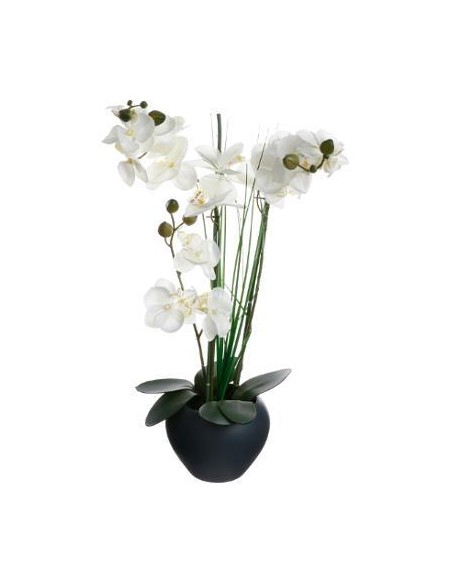 136510c - orchidee vase crmq gris h.53