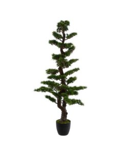 145013 - bonsai pot pl maki h149 L. 68 x P. 62 x H. 151 cm