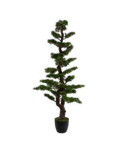 145013 - bonsai pot pl maki h149 L. 68 x P. 62 x H. 151 cm