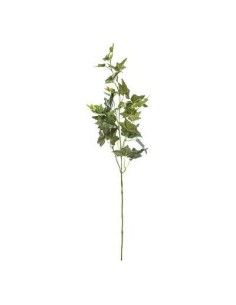 168590-tige lierre h82