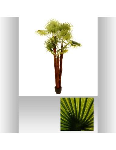 136521 - palmier artif h180 L. 110 x P. 110 x H. 190 cm