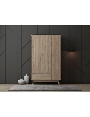 wr1508mpé-éarmoireé3éporteséhanaé118*50*197