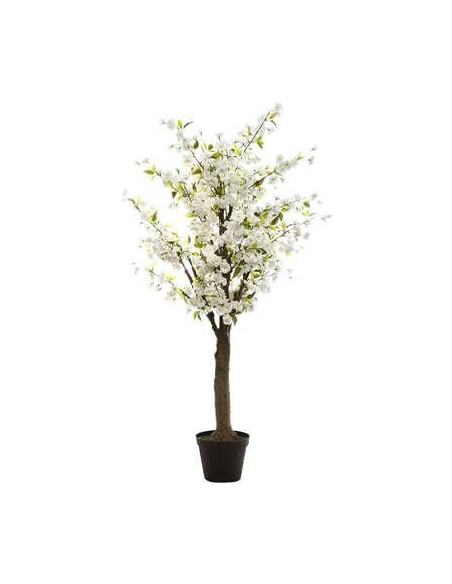 168617 - cerisier inari blc h200 L. 100 x P. 100 x H. 200 cm