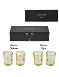 bo5530-bougie parfumee electroplate x4 coffret gingko m12