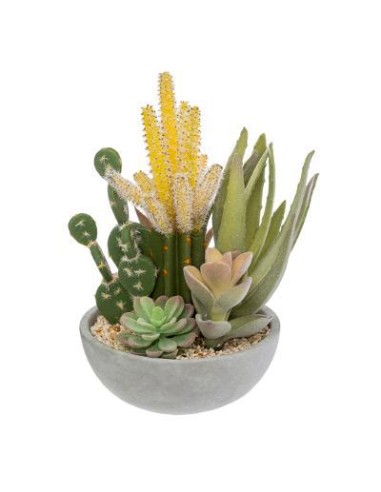 cactus compo pot cim h24 L. 19,5 x P. 19 x H. 24,5 cm