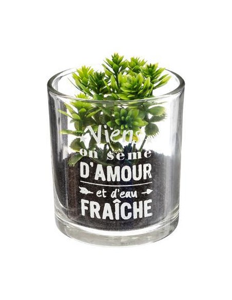 168543 - plante g pot vr uki h8 ass dis