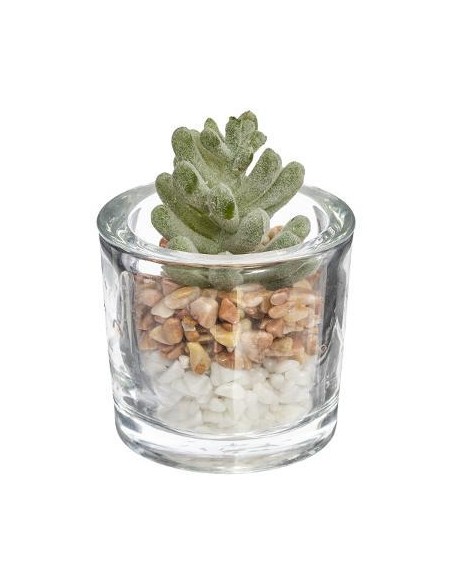 168548 - plante g vr zo h10