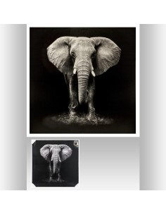 158209 - toile imp elephant100x100