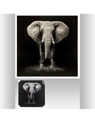 158209 - toile imp elephant100x100