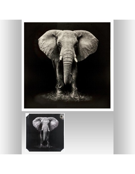 158209 - toile imp elephant100x100