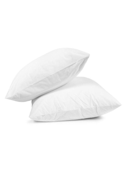 oreillers/2 perm coton 500grs 60x60