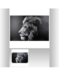 toile imp lion 78x118
