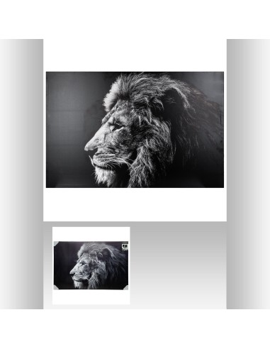 toile imp lion 78x118