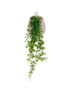 145017 - plante susp pot cim mailo h14 L. 14 x P. 12 x H. 13 cm
