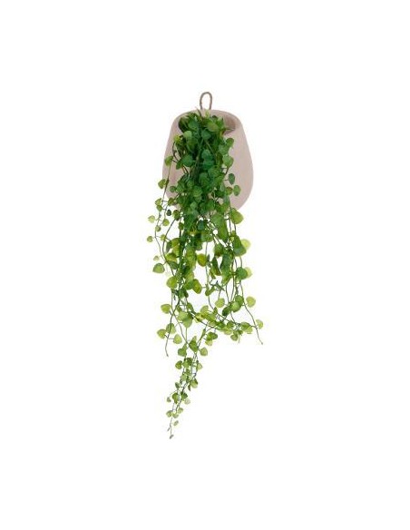145017 - plante susp pot cim mailo h14 L. 14 x P. 12 x H. 13 cm