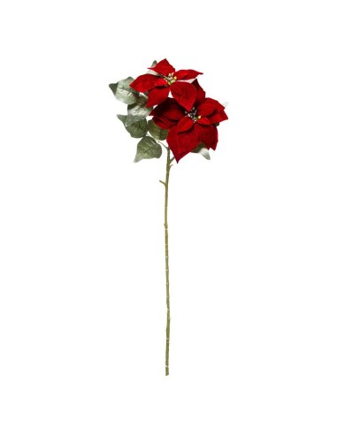 176699 - bch poinsettia 2 tetes rg 75cm