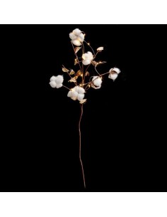 dk int brche coton 20led