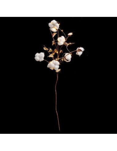 dk int brche coton 20led