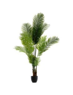 145001 - palmier pot pl arequier h170 L. 114 x P. 105 x H. 180 cm