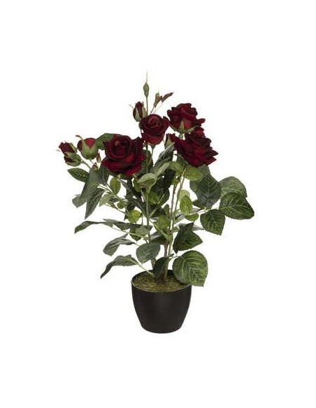173028 - rosier velours 43cm