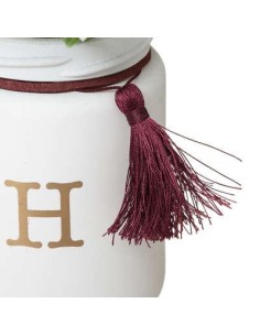 173034-set x4 plantes gypsy