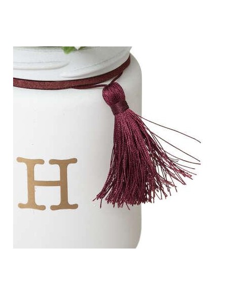 173034-set x4 plantes gypsy