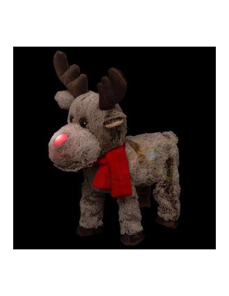 169677 - adn fun renne mv/ms 1l h40 p