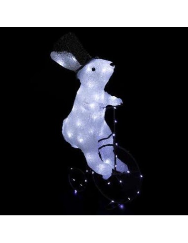 177304-fa ext lapin velo 64l 8f h44 t