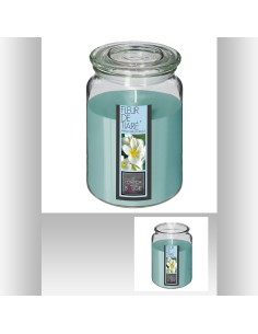 157747i - bge pfm vr nina fl tiare 510g