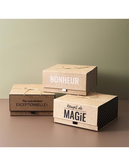di2862-boite cadeau kraft 25x25x12cm m24