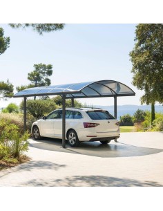 162261c - horloge met vint andras nr d36