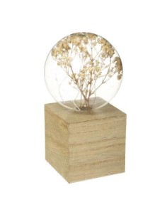 173284 - ampl micro fleur ass h18