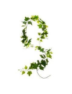 168614 - guirlande lierre efeja h190