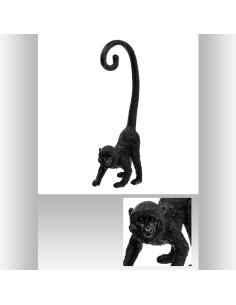 168314-singe queue noir h41