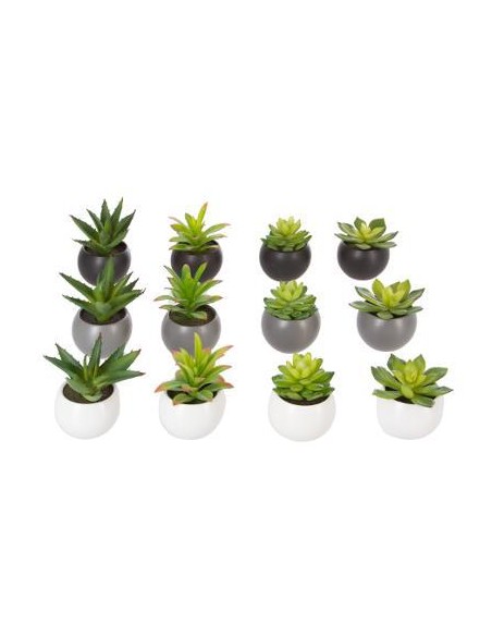 145000 - plante g anda h13 dis L. 13 x P. 12 x H. 13,5 cm