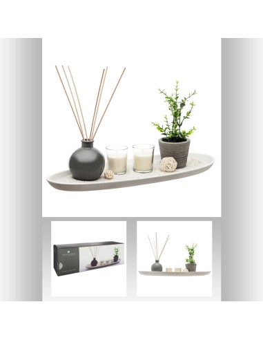 148116  - coff senteur plat ylg