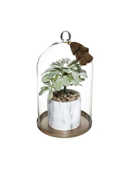 181415-plante + cloche base met suite