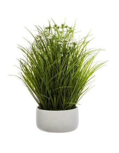 168584 - bunch herbe pot cim temy h50 D. 50 x H. 46,5 cm