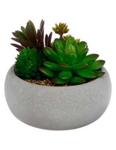 145026 - plante g cim miki blc h10 L. 12 x P. 12 x H. 10,5 cm