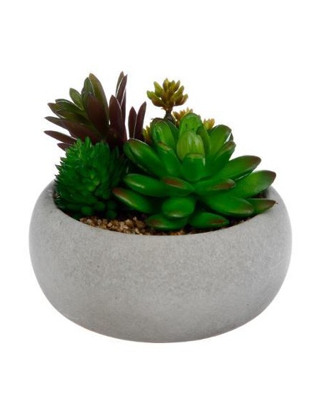 145026 - plante g cim miki blc h10 L. 12 x P. 12 x H. 10,5 cm