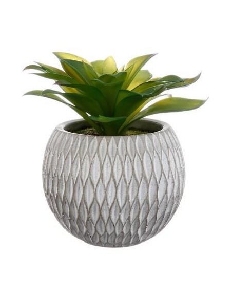 145004 - plante g cim nhi h17 D. 16 x H. 17,5 cm