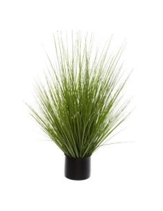 168624 - bunch herbe pot pl akina h74 D. 72 x H. 74 cm