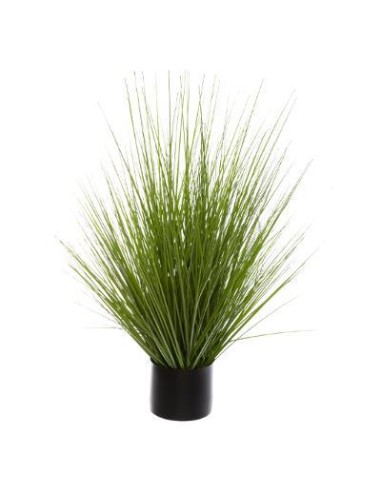 168624 - bunch herbe pot pl akina h74 D. 72 x H. 74 cm
