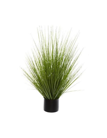 168624 - bunch herbe pot pl akina h74 D. 72 x H. 74 cm