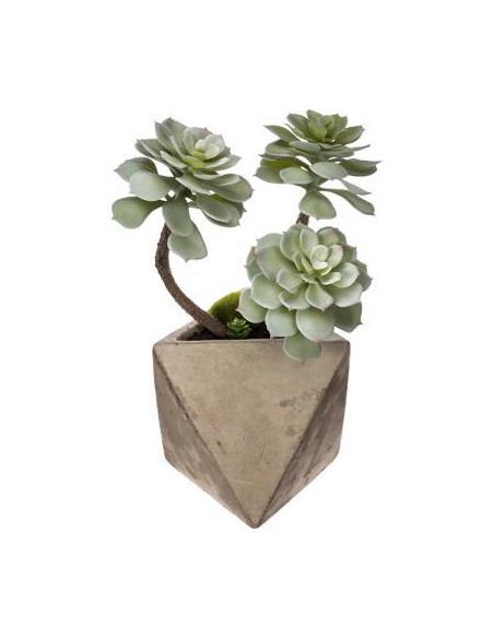 114761 - plante grasse geom cim h30 L. 14,5 x P. 13,8 x H. 33 cm